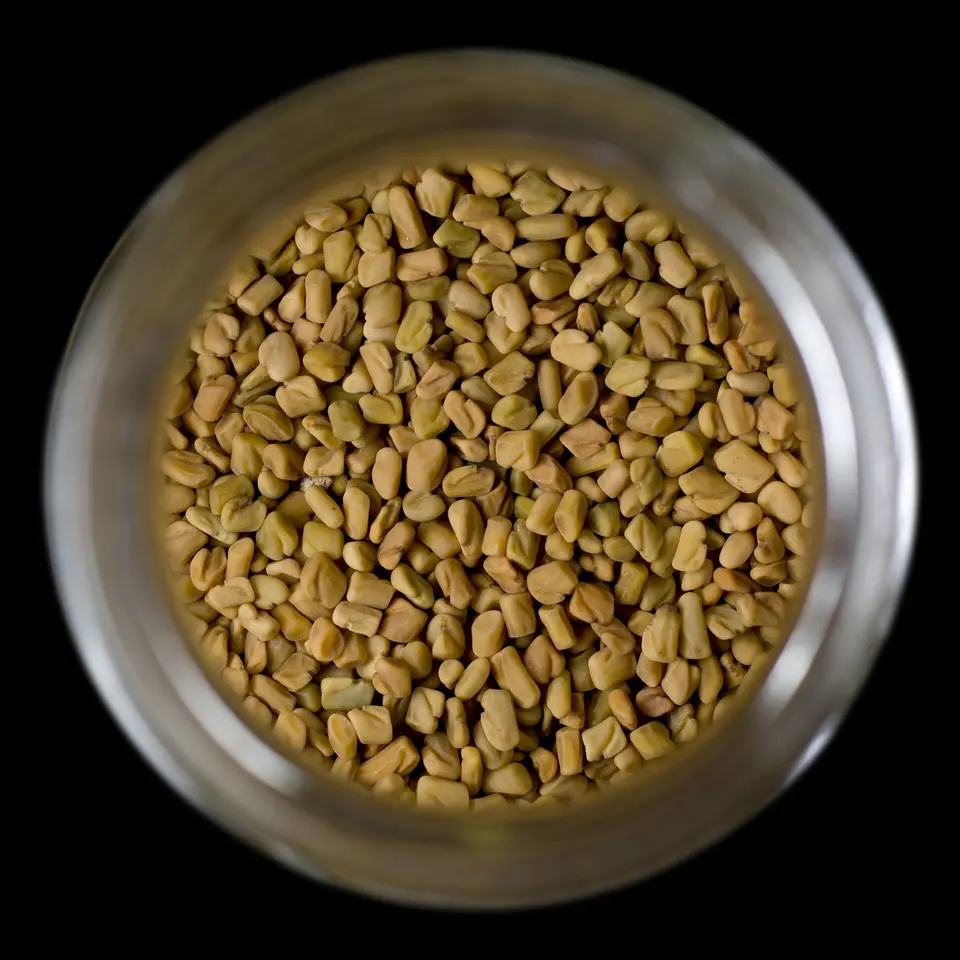 Top View Fenugreek Seeds in Glass Jar