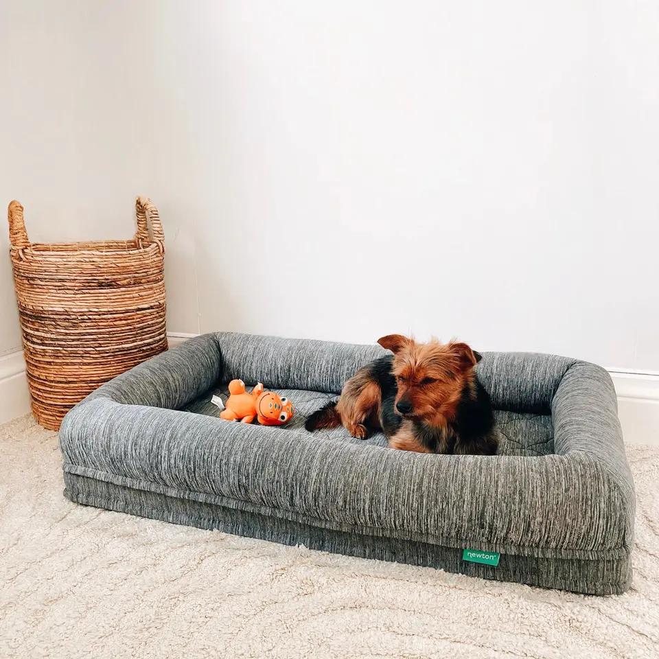 Zerdiva Ortopedik Köpek Yatağı